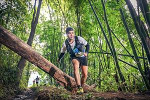 BIB: 1350
                            <button type="button" onclick="openModal(15934847)" class="btn btn-primary btn-sm float-right btn-popup" data-toggle="modal" data-target=".modal-high-quality">
                        <i class="fas fa-shopping-cart"></i> Add to Cart
                    </button>
                                            <button type="button" onclick="isThisMe(15934847, true)" class="btn btn-success btn-sm float-right btn-popup btn-isme hidden" data-toggle="tooltip" data-placement="bottom" title="นี่คือรูปของคุณใช่ไหม คลิกที่นี่เพื่อเอาเข้าอัลบั้ม">
                        <i class="fas fa-plus"></i> Add to album
                    </button>
                    <button type="button" onclick="isThisMe(15934847, false)" class="btn btn-warning btn-sm float-right btn-popup btn-isnotme hidden">
                        <i class="fas fa-ban"></i> Remove from album
                    </button>