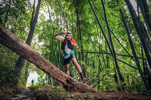 BIB: 
                            <button type="button" onclick="openModal(15933438)" class="btn btn-primary btn-sm float-right btn-popup" data-toggle="modal" data-target=".modal-high-quality">
                        <i class="fas fa-shopping-cart"></i> Add to Cart
                    </button>
                                            <button type="button" onclick="isThisMe(15933438, true)" class="btn btn-success btn-sm float-right btn-popup btn-isme hidden" data-toggle="tooltip" data-placement="bottom" title="นี่คือรูปของคุณใช่ไหม คลิกที่นี่เพื่อเอาเข้าอัลบั้ม">
                        <i class="fas fa-plus"></i> Add to album
                    </button>
                    <button type="button" onclick="isThisMe(15933438, false)" class="btn btn-warning btn-sm float-right btn-popup btn-isnotme hidden">
                        <i class="fas fa-ban"></i> Remove from album
                    </button>