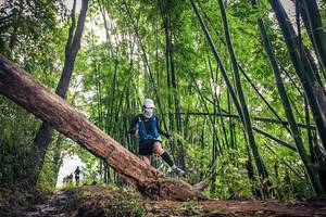 BIB: 
                            <button type="button" onclick="openModal(15933545)" class="btn btn-primary btn-sm float-right btn-popup" data-toggle="modal" data-target=".modal-high-quality">
                        <i class="fas fa-shopping-cart"></i> Add to Cart
                    </button>
                                            <button type="button" onclick="isThisMe(15933545, true)" class="btn btn-success btn-sm float-right btn-popup btn-isme hidden" data-toggle="tooltip" data-placement="bottom" title="นี่คือรูปของคุณใช่ไหม คลิกที่นี่เพื่อเอาเข้าอัลบั้ม">
                        <i class="fas fa-plus"></i> Add to album
                    </button>
                    <button type="button" onclick="isThisMe(15933545, false)" class="btn btn-warning btn-sm float-right btn-popup btn-isnotme hidden">
                        <i class="fas fa-ban"></i> Remove from album
                    </button>