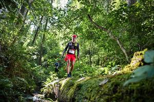 BIB: 5159
                            <button type="button" onclick="openModal(15939605)" class="btn btn-primary btn-sm float-right btn-popup" data-toggle="modal" data-target=".modal-high-quality">
                        <i class="fas fa-shopping-cart"></i> Add to Cart
                    </button>
                                            <button type="button" onclick="isThisMe(15939605, true)" class="btn btn-success btn-sm float-right btn-popup btn-isme hidden" data-toggle="tooltip" data-placement="bottom" title="นี่คือรูปของคุณใช่ไหม คลิกที่นี่เพื่อเอาเข้าอัลบั้ม">
                        <i class="fas fa-plus"></i> Add to album
                    </button>
                    <button type="button" onclick="isThisMe(15939605, false)" class="btn btn-warning btn-sm float-right btn-popup btn-isnotme hidden">
                        <i class="fas fa-ban"></i> Remove from album
                    </button>