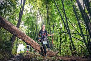 BIB: 1190
                            <button type="button" onclick="openModal(15934806)" class="btn btn-primary btn-sm float-right btn-popup" data-toggle="modal" data-target=".modal-high-quality">
                        <i class="fas fa-shopping-cart"></i> Add to Cart
                    </button>
                                            <button type="button" onclick="isThisMe(15934806, true)" class="btn btn-success btn-sm float-right btn-popup btn-isme hidden" data-toggle="tooltip" data-placement="bottom" title="นี่คือรูปของคุณใช่ไหม คลิกที่นี่เพื่อเอาเข้าอัลบั้ม">
                        <i class="fas fa-plus"></i> Add to album
                    </button>
                    <button type="button" onclick="isThisMe(15934806, false)" class="btn btn-warning btn-sm float-right btn-popup btn-isnotme hidden">
                        <i class="fas fa-ban"></i> Remove from album
                    </button>