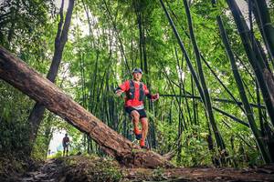 BIB: , 1099
                            <button type="button" onclick="openModal(15933505)" class="btn btn-primary btn-sm float-right btn-popup" data-toggle="modal" data-target=".modal-high-quality">
                        <i class="fas fa-shopping-cart"></i> Add to Cart
                    </button>
                                            <button type="button" onclick="isThisMe(15933505, true)" class="btn btn-success btn-sm float-right btn-popup btn-isme hidden" data-toggle="tooltip" data-placement="bottom" title="นี่คือรูปของคุณใช่ไหม คลิกที่นี่เพื่อเอาเข้าอัลบั้ม">
                        <i class="fas fa-plus"></i> Add to album
                    </button>
                    <button type="button" onclick="isThisMe(15933505, false)" class="btn btn-warning btn-sm float-right btn-popup btn-isnotme hidden">
                        <i class="fas fa-ban"></i> Remove from album
                    </button>