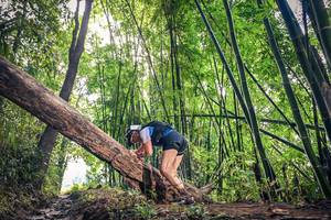 BIB: 
                            <button type="button" onclick="openModal(15934413)" class="btn btn-primary btn-sm float-right btn-popup" data-toggle="modal" data-target=".modal-high-quality">
                        <i class="fas fa-shopping-cart"></i> Add to Cart
                    </button>
                                            <button type="button" onclick="isThisMe(15934413, true)" class="btn btn-success btn-sm float-right btn-popup btn-isme hidden" data-toggle="tooltip" data-placement="bottom" title="นี่คือรูปของคุณใช่ไหม คลิกที่นี่เพื่อเอาเข้าอัลบั้ม">
                        <i class="fas fa-plus"></i> Add to album
                    </button>
                    <button type="button" onclick="isThisMe(15934413, false)" class="btn btn-warning btn-sm float-right btn-popup btn-isnotme hidden">
                        <i class="fas fa-ban"></i> Remove from album
                    </button>