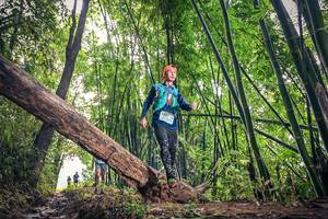 BIB: , 1357
                            <button type="button" onclick="openModal(15932857)" class="btn btn-primary btn-sm float-right btn-popup" data-toggle="modal" data-target=".modal-high-quality">
                        <i class="fas fa-shopping-cart"></i> Add to Cart
                    </button>
                                            <button type="button" onclick="isThisMe(15932857, true)" class="btn btn-success btn-sm float-right btn-popup btn-isme hidden" data-toggle="tooltip" data-placement="bottom" title="นี่คือรูปของคุณใช่ไหม คลิกที่นี่เพื่อเอาเข้าอัลบั้ม">
                        <i class="fas fa-plus"></i> Add to album
                    </button>
                    <button type="button" onclick="isThisMe(15932857, false)" class="btn btn-warning btn-sm float-right btn-popup btn-isnotme hidden">
                        <i class="fas fa-ban"></i> Remove from album
                    </button>