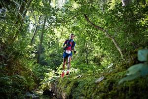 BIB: 5032
                            <button type="button" onclick="openModal(15939046)" class="btn btn-primary btn-sm float-right btn-popup" data-toggle="modal" data-target=".modal-high-quality">
                        <i class="fas fa-shopping-cart"></i> Add to Cart
                    </button>
                                            <button type="button" onclick="isThisMe(15939046, true)" class="btn btn-success btn-sm float-right btn-popup btn-isme hidden" data-toggle="tooltip" data-placement="bottom" title="นี่คือรูปของคุณใช่ไหม คลิกที่นี่เพื่อเอาเข้าอัลบั้ม">
                        <i class="fas fa-plus"></i> Add to album
                    </button>
                    <button type="button" onclick="isThisMe(15939046, false)" class="btn btn-warning btn-sm float-right btn-popup btn-isnotme hidden">
                        <i class="fas fa-ban"></i> Remove from album
                    </button>