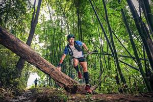 BIB: 
                            <button type="button" onclick="openModal(15933365)" class="btn btn-primary btn-sm float-right btn-popup" data-toggle="modal" data-target=".modal-high-quality">
                        <i class="fas fa-shopping-cart"></i> Add to Cart
                    </button>
                                            <button type="button" onclick="isThisMe(15933365, true)" class="btn btn-success btn-sm float-right btn-popup btn-isme hidden" data-toggle="tooltip" data-placement="bottom" title="นี่คือรูปของคุณใช่ไหม คลิกที่นี่เพื่อเอาเข้าอัลบั้ม">
                        <i class="fas fa-plus"></i> Add to album
                    </button>
                    <button type="button" onclick="isThisMe(15933365, false)" class="btn btn-warning btn-sm float-right btn-popup btn-isnotme hidden">
                        <i class="fas fa-ban"></i> Remove from album
                    </button>