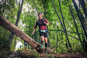 BIB: 454, 605
                            <button type="button" onclick="openModal(15933527)" class="btn btn-primary btn-sm float-right btn-popup" data-toggle="modal" data-target=".modal-high-quality">
                        <i class="fas fa-shopping-cart"></i> Add to Cart
                    </button>
                                            <button type="button" onclick="isThisMe(15933527, true)" class="btn btn-success btn-sm float-right btn-popup btn-isme hidden" data-toggle="tooltip" data-placement="bottom" title="นี่คือรูปของคุณใช่ไหม คลิกที่นี่เพื่อเอาเข้าอัลบั้ม">
                        <i class="fas fa-plus"></i> Add to album
                    </button>
                    <button type="button" onclick="isThisMe(15933527, false)" class="btn btn-warning btn-sm float-right btn-popup btn-isnotme hidden">
                        <i class="fas fa-ban"></i> Remove from album
                    </button>