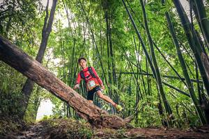 BIB: 1636
                            <button type="button" onclick="openModal(15932882)" class="btn btn-primary btn-sm float-right btn-popup" data-toggle="modal" data-target=".modal-high-quality">
                        <i class="fas fa-shopping-cart"></i> Add to Cart
                    </button>
                                            <button type="button" onclick="isThisMe(15932882, true)" class="btn btn-success btn-sm float-right btn-popup btn-isme hidden" data-toggle="tooltip" data-placement="bottom" title="นี่คือรูปของคุณใช่ไหม คลิกที่นี่เพื่อเอาเข้าอัลบั้ม">
                        <i class="fas fa-plus"></i> Add to album
                    </button>
                    <button type="button" onclick="isThisMe(15932882, false)" class="btn btn-warning btn-sm float-right btn-popup btn-isnotme hidden">
                        <i class="fas fa-ban"></i> Remove from album
                    </button>