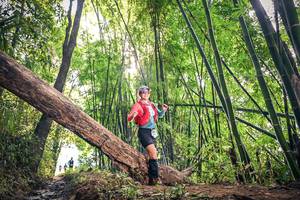 BIB: 150, 
                            <button type="button" onclick="openModal(15934842)" class="btn btn-primary btn-sm float-right btn-popup" data-toggle="modal" data-target=".modal-high-quality">
                        <i class="fas fa-shopping-cart"></i> Add to Cart
                    </button>
                                            <button type="button" onclick="isThisMe(15934842, true)" class="btn btn-success btn-sm float-right btn-popup btn-isme hidden" data-toggle="tooltip" data-placement="bottom" title="นี่คือรูปของคุณใช่ไหม คลิกที่นี่เพื่อเอาเข้าอัลบั้ม">
                        <i class="fas fa-plus"></i> Add to album
                    </button>
                    <button type="button" onclick="isThisMe(15934842, false)" class="btn btn-warning btn-sm float-right btn-popup btn-isnotme hidden">
                        <i class="fas fa-ban"></i> Remove from album
                    </button>