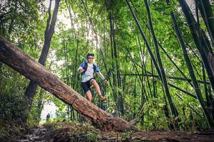 BIB: 
                            <button type="button" onclick="openModal(15935071)" class="btn btn-primary btn-sm float-right btn-popup" data-toggle="modal" data-target=".modal-high-quality">
                        <i class="fas fa-shopping-cart"></i> Add to Cart
                    </button>
                                            <button type="button" onclick="isThisMe(15935071, true)" class="btn btn-success btn-sm float-right btn-popup btn-isme hidden" data-toggle="tooltip" data-placement="bottom" title="นี่คือรูปของคุณใช่ไหม คลิกที่นี่เพื่อเอาเข้าอัลบั้ม">
                        <i class="fas fa-plus"></i> Add to album
                    </button>
                    <button type="button" onclick="isThisMe(15935071, false)" class="btn btn-warning btn-sm float-right btn-popup btn-isnotme hidden">
                        <i class="fas fa-ban"></i> Remove from album
                    </button>