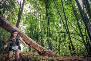 BIB: 7543
                            <button type="button" onclick="openModal(15933623)" class="btn btn-primary btn-sm float-right btn-popup" data-toggle="modal" data-target=".modal-high-quality">
                        <i class="fas fa-shopping-cart"></i> Add to Cart
                    </button>
                                            <button type="button" onclick="isThisMe(15933623, true)" class="btn btn-success btn-sm float-right btn-popup btn-isme hidden" data-toggle="tooltip" data-placement="bottom" title="นี่คือรูปของคุณใช่ไหม คลิกที่นี่เพื่อเอาเข้าอัลบั้ม">
                        <i class="fas fa-plus"></i> Add to album
                    </button>
                    <button type="button" onclick="isThisMe(15933623, false)" class="btn btn-warning btn-sm float-right btn-popup btn-isnotme hidden">
                        <i class="fas fa-ban"></i> Remove from album
                    </button>