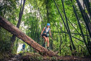 BIB: 1041
                            <button type="button" onclick="openModal(15934295)" class="btn btn-primary btn-sm float-right btn-popup" data-toggle="modal" data-target=".modal-high-quality">
                        <i class="fas fa-shopping-cart"></i> Add to Cart
                    </button>
                                            <button type="button" onclick="isThisMe(15934295, true)" class="btn btn-success btn-sm float-right btn-popup btn-isme hidden" data-toggle="tooltip" data-placement="bottom" title="นี่คือรูปของคุณใช่ไหม คลิกที่นี่เพื่อเอาเข้าอัลบั้ม">
                        <i class="fas fa-plus"></i> Add to album
                    </button>
                    <button type="button" onclick="isThisMe(15934295, false)" class="btn btn-warning btn-sm float-right btn-popup btn-isnotme hidden">
                        <i class="fas fa-ban"></i> Remove from album
                    </button>