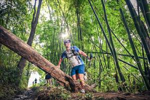 BIB: 1494
                            <button type="button" onclick="openModal(15934684)" class="btn btn-primary btn-sm float-right btn-popup" data-toggle="modal" data-target=".modal-high-quality">
                        <i class="fas fa-shopping-cart"></i> Add to Cart
                    </button>
                                            <button type="button" onclick="isThisMe(15934684, true)" class="btn btn-success btn-sm float-right btn-popup btn-isme hidden" data-toggle="tooltip" data-placement="bottom" title="นี่คือรูปของคุณใช่ไหม คลิกที่นี่เพื่อเอาเข้าอัลบั้ม">
                        <i class="fas fa-plus"></i> Add to album
                    </button>
                    <button type="button" onclick="isThisMe(15934684, false)" class="btn btn-warning btn-sm float-right btn-popup btn-isnotme hidden">
                        <i class="fas fa-ban"></i> Remove from album
                    </button>