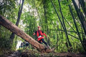 BIB: 1384
                            <button type="button" onclick="openModal(15934920)" class="btn btn-primary btn-sm float-right btn-popup" data-toggle="modal" data-target=".modal-high-quality">
                        <i class="fas fa-shopping-cart"></i> Add to Cart
                    </button>
                                            <button type="button" onclick="isThisMe(15934920, true)" class="btn btn-success btn-sm float-right btn-popup btn-isme hidden" data-toggle="tooltip" data-placement="bottom" title="นี่คือรูปของคุณใช่ไหม คลิกที่นี่เพื่อเอาเข้าอัลบั้ม">
                        <i class="fas fa-plus"></i> Add to album
                    </button>
                    <button type="button" onclick="isThisMe(15934920, false)" class="btn btn-warning btn-sm float-right btn-popup btn-isnotme hidden">
                        <i class="fas fa-ban"></i> Remove from album
                    </button>