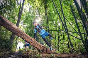 BIB: 
                            <button type="button" onclick="openModal(15934676)" class="btn btn-primary btn-sm float-right btn-popup" data-toggle="modal" data-target=".modal-high-quality">
                        <i class="fas fa-shopping-cart"></i> Add to Cart
                    </button>
                                            <button type="button" onclick="isThisMe(15934676, true)" class="btn btn-success btn-sm float-right btn-popup btn-isme hidden" data-toggle="tooltip" data-placement="bottom" title="นี่คือรูปของคุณใช่ไหม คลิกที่นี่เพื่อเอาเข้าอัลบั้ม">
                        <i class="fas fa-plus"></i> Add to album
                    </button>
                    <button type="button" onclick="isThisMe(15934676, false)" class="btn btn-warning btn-sm float-right btn-popup btn-isnotme hidden">
                        <i class="fas fa-ban"></i> Remove from album
                    </button>