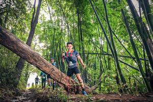 BIB: 1357
                            <button type="button" onclick="openModal(15932826)" class="btn btn-primary btn-sm float-right btn-popup" data-toggle="modal" data-target=".modal-high-quality">
                        <i class="fas fa-shopping-cart"></i> Add to Cart
                    </button>
                                            <button type="button" onclick="isThisMe(15932826, true)" class="btn btn-success btn-sm float-right btn-popup btn-isme hidden" data-toggle="tooltip" data-placement="bottom" title="นี่คือรูปของคุณใช่ไหม คลิกที่นี่เพื่อเอาเข้าอัลบั้ม">
                        <i class="fas fa-plus"></i> Add to album
                    </button>
                    <button type="button" onclick="isThisMe(15932826, false)" class="btn btn-warning btn-sm float-right btn-popup btn-isnotme hidden">
                        <i class="fas fa-ban"></i> Remove from album
                    </button>