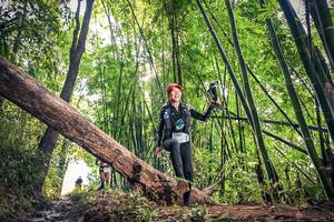 BIB: 1381, 1513
                            <button type="button" onclick="openModal(15934575)" class="btn btn-primary btn-sm float-right btn-popup" data-toggle="modal" data-target=".modal-high-quality">
                        <i class="fas fa-shopping-cart"></i> Add to Cart
                    </button>
                                            <button type="button" onclick="isThisMe(15934575, true)" class="btn btn-success btn-sm float-right btn-popup btn-isme hidden" data-toggle="tooltip" data-placement="bottom" title="นี่คือรูปของคุณใช่ไหม คลิกที่นี่เพื่อเอาเข้าอัลบั้ม">
                        <i class="fas fa-plus"></i> Add to album
                    </button>
                    <button type="button" onclick="isThisMe(15934575, false)" class="btn btn-warning btn-sm float-right btn-popup btn-isnotme hidden">
                        <i class="fas fa-ban"></i> Remove from album
                    </button>