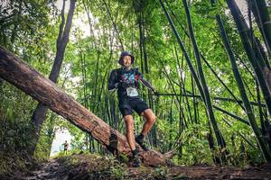 BIB: 1367
                            <button type="button" onclick="openModal(15934485)" class="btn btn-primary btn-sm float-right btn-popup" data-toggle="modal" data-target=".modal-high-quality">
                        <i class="fas fa-shopping-cart"></i> Add to Cart
                    </button>
                                            <button type="button" onclick="isThisMe(15934485, true)" class="btn btn-success btn-sm float-right btn-popup btn-isme hidden" data-toggle="tooltip" data-placement="bottom" title="นี่คือรูปของคุณใช่ไหม คลิกที่นี่เพื่อเอาเข้าอัลบั้ม">
                        <i class="fas fa-plus"></i> Add to album
                    </button>
                    <button type="button" onclick="isThisMe(15934485, false)" class="btn btn-warning btn-sm float-right btn-popup btn-isnotme hidden">
                        <i class="fas fa-ban"></i> Remove from album
                    </button>