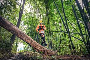 BIB: 1430
                            <button type="button" onclick="openModal(15934493)" class="btn btn-primary btn-sm float-right btn-popup" data-toggle="modal" data-target=".modal-high-quality">
                        <i class="fas fa-shopping-cart"></i> Add to Cart
                    </button>
                                            <button type="button" onclick="isThisMe(15934493, true)" class="btn btn-success btn-sm float-right btn-popup btn-isme hidden" data-toggle="tooltip" data-placement="bottom" title="นี่คือรูปของคุณใช่ไหม คลิกที่นี่เพื่อเอาเข้าอัลบั้ม">
                        <i class="fas fa-plus"></i> Add to album
                    </button>
                    <button type="button" onclick="isThisMe(15934493, false)" class="btn btn-warning btn-sm float-right btn-popup btn-isnotme hidden">
                        <i class="fas fa-ban"></i> Remove from album
                    </button>