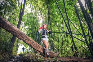 BIB: 
                            <button type="button" onclick="openModal(15934817)" class="btn btn-primary btn-sm float-right btn-popup" data-toggle="modal" data-target=".modal-high-quality">
                        <i class="fas fa-shopping-cart"></i> Add to Cart
                    </button>
                                            <button type="button" onclick="isThisMe(15934817, true)" class="btn btn-success btn-sm float-right btn-popup btn-isme hidden" data-toggle="tooltip" data-placement="bottom" title="นี่คือรูปของคุณใช่ไหม คลิกที่นี่เพื่อเอาเข้าอัลบั้ม">
                        <i class="fas fa-plus"></i> Add to album
                    </button>
                    <button type="button" onclick="isThisMe(15934817, false)" class="btn btn-warning btn-sm float-right btn-popup btn-isnotme hidden">
                        <i class="fas fa-ban"></i> Remove from album
                    </button>