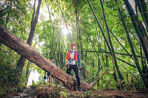 BIB: 609, 111
                            <button type="button" onclick="openModal(15935048)" class="btn btn-primary btn-sm float-right btn-popup" data-toggle="modal" data-target=".modal-high-quality">
                        <i class="fas fa-shopping-cart"></i> Add to Cart
                    </button>
                                            <button type="button" onclick="isThisMe(15935048, true)" class="btn btn-success btn-sm float-right btn-popup btn-isme hidden" data-toggle="tooltip" data-placement="bottom" title="นี่คือรูปของคุณใช่ไหม คลิกที่นี่เพื่อเอาเข้าอัลบั้ม">
                        <i class="fas fa-plus"></i> Add to album
                    </button>
                    <button type="button" onclick="isThisMe(15935048, false)" class="btn btn-warning btn-sm float-right btn-popup btn-isnotme hidden">
                        <i class="fas fa-ban"></i> Remove from album
                    </button>