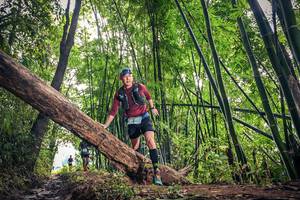 BIB: 1454, 605
                            <button type="button" onclick="openModal(15933521)" class="btn btn-primary btn-sm float-right btn-popup" data-toggle="modal" data-target=".modal-high-quality">
                        <i class="fas fa-shopping-cart"></i> Add to Cart
                    </button>
                                            <button type="button" onclick="isThisMe(15933521, true)" class="btn btn-success btn-sm float-right btn-popup btn-isme hidden" data-toggle="tooltip" data-placement="bottom" title="นี่คือรูปของคุณใช่ไหม คลิกที่นี่เพื่อเอาเข้าอัลบั้ม">
                        <i class="fas fa-plus"></i> Add to album
                    </button>
                    <button type="button" onclick="isThisMe(15933521, false)" class="btn btn-warning btn-sm float-right btn-popup btn-isnotme hidden">
                        <i class="fas fa-ban"></i> Remove from album
                    </button>