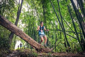 BIB: 1606
                            <button type="button" onclick="openModal(15932859)" class="btn btn-primary btn-sm float-right btn-popup" data-toggle="modal" data-target=".modal-high-quality">
                        <i class="fas fa-shopping-cart"></i> Add to Cart
                    </button>
                                            <button type="button" onclick="isThisMe(15932859, true)" class="btn btn-success btn-sm float-right btn-popup btn-isme hidden" data-toggle="tooltip" data-placement="bottom" title="นี่คือรูปของคุณใช่ไหม คลิกที่นี่เพื่อเอาเข้าอัลบั้ม">
                        <i class="fas fa-plus"></i> Add to album
                    </button>
                    <button type="button" onclick="isThisMe(15932859, false)" class="btn btn-warning btn-sm float-right btn-popup btn-isnotme hidden">
                        <i class="fas fa-ban"></i> Remove from album
                    </button>