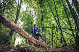 BIB: 
                            <button type="button" onclick="openModal(15934948)" class="btn btn-primary btn-sm float-right btn-popup" data-toggle="modal" data-target=".modal-high-quality">
                        <i class="fas fa-shopping-cart"></i> Add to Cart
                    </button>
                                            <button type="button" onclick="isThisMe(15934948, true)" class="btn btn-success btn-sm float-right btn-popup btn-isme hidden" data-toggle="tooltip" data-placement="bottom" title="นี่คือรูปของคุณใช่ไหม คลิกที่นี่เพื่อเอาเข้าอัลบั้ม">
                        <i class="fas fa-plus"></i> Add to album
                    </button>
                    <button type="button" onclick="isThisMe(15934948, false)" class="btn btn-warning btn-sm float-right btn-popup btn-isnotme hidden">
                        <i class="fas fa-ban"></i> Remove from album
                    </button>