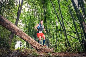 BIB: 1714
                            <button type="button" onclick="openModal(15932525)" class="btn btn-primary btn-sm float-right btn-popup" data-toggle="modal" data-target=".modal-high-quality">
                        <i class="fas fa-shopping-cart"></i> Add to Cart
                    </button>
                                            <button type="button" onclick="isThisMe(15932525, true)" class="btn btn-success btn-sm float-right btn-popup btn-isme hidden" data-toggle="tooltip" data-placement="bottom" title="นี่คือรูปของคุณใช่ไหม คลิกที่นี่เพื่อเอาเข้าอัลบั้ม">
                        <i class="fas fa-plus"></i> Add to album
                    </button>
                    <button type="button" onclick="isThisMe(15932525, false)" class="btn btn-warning btn-sm float-right btn-popup btn-isnotme hidden">
                        <i class="fas fa-ban"></i> Remove from album
                    </button>