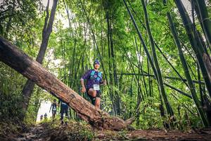 BIB: 1516
                            <button type="button" onclick="openModal(15932836)" class="btn btn-primary btn-sm float-right btn-popup" data-toggle="modal" data-target=".modal-high-quality">
                        <i class="fas fa-shopping-cart"></i> Add to Cart
                    </button>
                                            <button type="button" onclick="isThisMe(15932836, true)" class="btn btn-success btn-sm float-right btn-popup btn-isme hidden" data-toggle="tooltip" data-placement="bottom" title="นี่คือรูปของคุณใช่ไหม คลิกที่นี่เพื่อเอาเข้าอัลบั้ม">
                        <i class="fas fa-plus"></i> Add to album
                    </button>
                    <button type="button" onclick="isThisMe(15932836, false)" class="btn btn-warning btn-sm float-right btn-popup btn-isnotme hidden">
                        <i class="fas fa-ban"></i> Remove from album
                    </button>