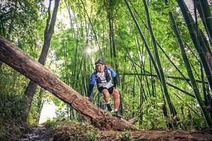 BIB: 1717
                            <button type="button" onclick="openModal(15934629)" class="btn btn-primary btn-sm float-right btn-popup" data-toggle="modal" data-target=".modal-high-quality">
                        <i class="fas fa-shopping-cart"></i> Add to Cart
                    </button>
                                            <button type="button" onclick="isThisMe(15934629, true)" class="btn btn-success btn-sm float-right btn-popup btn-isme hidden" data-toggle="tooltip" data-placement="bottom" title="นี่คือรูปของคุณใช่ไหม คลิกที่นี่เพื่อเอาเข้าอัลบั้ม">
                        <i class="fas fa-plus"></i> Add to album
                    </button>
                    <button type="button" onclick="isThisMe(15934629, false)" class="btn btn-warning btn-sm float-right btn-popup btn-isnotme hidden">
                        <i class="fas fa-ban"></i> Remove from album
                    </button>