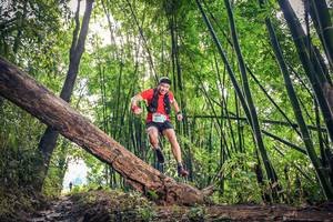 BIB: 1658
                            <button type="button" onclick="openModal(15934480)" class="btn btn-primary btn-sm float-right btn-popup" data-toggle="modal" data-target=".modal-high-quality">
                        <i class="fas fa-shopping-cart"></i> Add to Cart
                    </button>
                                            <button type="button" onclick="isThisMe(15934480, true)" class="btn btn-success btn-sm float-right btn-popup btn-isme hidden" data-toggle="tooltip" data-placement="bottom" title="นี่คือรูปของคุณใช่ไหม คลิกที่นี่เพื่อเอาเข้าอัลบั้ม">
                        <i class="fas fa-plus"></i> Add to album
                    </button>
                    <button type="button" onclick="isThisMe(15934480, false)" class="btn btn-warning btn-sm float-right btn-popup btn-isnotme hidden">
                        <i class="fas fa-ban"></i> Remove from album
                    </button>