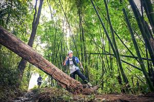 BIB: 1192
                            <button type="button" onclick="openModal(15934982)" class="btn btn-primary btn-sm float-right btn-popup" data-toggle="modal" data-target=".modal-high-quality">
                        <i class="fas fa-shopping-cart"></i> Add to Cart
                    </button>
                                            <button type="button" onclick="isThisMe(15934982, true)" class="btn btn-success btn-sm float-right btn-popup btn-isme hidden" data-toggle="tooltip" data-placement="bottom" title="นี่คือรูปของคุณใช่ไหม คลิกที่นี่เพื่อเอาเข้าอัลบั้ม">
                        <i class="fas fa-plus"></i> Add to album
                    </button>
                    <button type="button" onclick="isThisMe(15934982, false)" class="btn btn-warning btn-sm float-right btn-popup btn-isnotme hidden">
                        <i class="fas fa-ban"></i> Remove from album
                    </button>