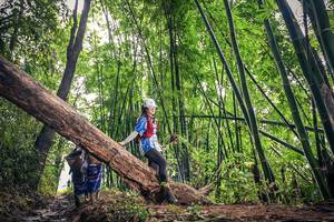 BIB: 
                            <button type="button" onclick="openModal(15933589)" class="btn btn-primary btn-sm float-right btn-popup" data-toggle="modal" data-target=".modal-high-quality">
                        <i class="fas fa-shopping-cart"></i> Add to Cart
                    </button>
                                            <button type="button" onclick="isThisMe(15933589, true)" class="btn btn-success btn-sm float-right btn-popup btn-isme hidden" data-toggle="tooltip" data-placement="bottom" title="นี่คือรูปของคุณใช่ไหม คลิกที่นี่เพื่อเอาเข้าอัลบั้ม">
                        <i class="fas fa-plus"></i> Add to album
                    </button>
                    <button type="button" onclick="isThisMe(15933589, false)" class="btn btn-warning btn-sm float-right btn-popup btn-isnotme hidden">
                        <i class="fas fa-ban"></i> Remove from album
                    </button>