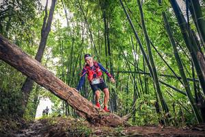 BIB: 1586
                            <button type="button" onclick="openModal(15933063)" class="btn btn-primary btn-sm float-right btn-popup" data-toggle="modal" data-target=".modal-high-quality">
                        <i class="fas fa-shopping-cart"></i> Add to Cart
                    </button>
                                            <button type="button" onclick="isThisMe(15933063, true)" class="btn btn-success btn-sm float-right btn-popup btn-isme hidden" data-toggle="tooltip" data-placement="bottom" title="นี่คือรูปของคุณใช่ไหม คลิกที่นี่เพื่อเอาเข้าอัลบั้ม">
                        <i class="fas fa-plus"></i> Add to album
                    </button>
                    <button type="button" onclick="isThisMe(15933063, false)" class="btn btn-warning btn-sm float-right btn-popup btn-isnotme hidden">
                        <i class="fas fa-ban"></i> Remove from album
                    </button>