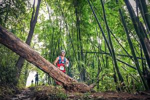 BIB: 1038, 
                            <button type="button" onclick="openModal(15932741)" class="btn btn-primary btn-sm float-right btn-popup" data-toggle="modal" data-target=".modal-high-quality">
                        <i class="fas fa-shopping-cart"></i> Add to Cart
                    </button>
                                            <button type="button" onclick="isThisMe(15932741, true)" class="btn btn-success btn-sm float-right btn-popup btn-isme hidden" data-toggle="tooltip" data-placement="bottom" title="นี่คือรูปของคุณใช่ไหม คลิกที่นี่เพื่อเอาเข้าอัลบั้ม">
                        <i class="fas fa-plus"></i> Add to album
                    </button>
                    <button type="button" onclick="isThisMe(15932741, false)" class="btn btn-warning btn-sm float-right btn-popup btn-isnotme hidden">
                        <i class="fas fa-ban"></i> Remove from album
                    </button>