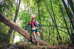 BIB: , 1107
                            <button type="button" onclick="openModal(15934603)" class="btn btn-primary btn-sm float-right btn-popup" data-toggle="modal" data-target=".modal-high-quality">
                        <i class="fas fa-shopping-cart"></i> Add to Cart
                    </button>
                                            <button type="button" onclick="isThisMe(15934603, true)" class="btn btn-success btn-sm float-right btn-popup btn-isme hidden" data-toggle="tooltip" data-placement="bottom" title="นี่คือรูปของคุณใช่ไหม คลิกที่นี่เพื่อเอาเข้าอัลบั้ม">
                        <i class="fas fa-plus"></i> Add to album
                    </button>
                    <button type="button" onclick="isThisMe(15934603, false)" class="btn btn-warning btn-sm float-right btn-popup btn-isnotme hidden">
                        <i class="fas fa-ban"></i> Remove from album
                    </button>