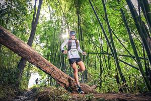 BIB: 1772
                            <button type="button" onclick="openModal(15934707)" class="btn btn-primary btn-sm float-right btn-popup" data-toggle="modal" data-target=".modal-high-quality">
                        <i class="fas fa-shopping-cart"></i> Add to Cart
                    </button>
                                            <button type="button" onclick="isThisMe(15934707, true)" class="btn btn-success btn-sm float-right btn-popup btn-isme hidden" data-toggle="tooltip" data-placement="bottom" title="นี่คือรูปของคุณใช่ไหม คลิกที่นี่เพื่อเอาเข้าอัลบั้ม">
                        <i class="fas fa-plus"></i> Add to album
                    </button>
                    <button type="button" onclick="isThisMe(15934707, false)" class="btn btn-warning btn-sm float-right btn-popup btn-isnotme hidden">
                        <i class="fas fa-ban"></i> Remove from album
                    </button>