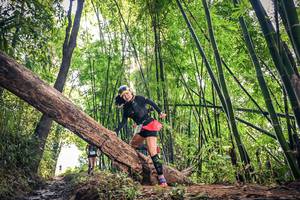 BIB: 
                            <button type="button" onclick="openModal(15934585)" class="btn btn-primary btn-sm float-right btn-popup" data-toggle="modal" data-target=".modal-high-quality">
                        <i class="fas fa-shopping-cart"></i> Add to Cart
                    </button>
                                            <button type="button" onclick="isThisMe(15934585, true)" class="btn btn-success btn-sm float-right btn-popup btn-isme hidden" data-toggle="tooltip" data-placement="bottom" title="นี่คือรูปของคุณใช่ไหม คลิกที่นี่เพื่อเอาเข้าอัลบั้ม">
                        <i class="fas fa-plus"></i> Add to album
                    </button>
                    <button type="button" onclick="isThisMe(15934585, false)" class="btn btn-warning btn-sm float-right btn-popup btn-isnotme hidden">
                        <i class="fas fa-ban"></i> Remove from album
                    </button>