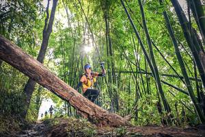 BIB: 
                            <button type="button" onclick="openModal(15934767)" class="btn btn-primary btn-sm float-right btn-popup" data-toggle="modal" data-target=".modal-high-quality">
                        <i class="fas fa-shopping-cart"></i> Add to Cart
                    </button>
                                            <button type="button" onclick="isThisMe(15934767, true)" class="btn btn-success btn-sm float-right btn-popup btn-isme hidden" data-toggle="tooltip" data-placement="bottom" title="นี่คือรูปของคุณใช่ไหม คลิกที่นี่เพื่อเอาเข้าอัลบั้ม">
                        <i class="fas fa-plus"></i> Add to album
                    </button>
                    <button type="button" onclick="isThisMe(15934767, false)" class="btn btn-warning btn-sm float-right btn-popup btn-isnotme hidden">
                        <i class="fas fa-ban"></i> Remove from album
                    </button>