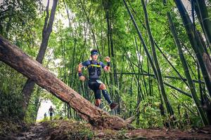 BIB: 1531
                            <button type="button" onclick="openModal(15933084)" class="btn btn-primary btn-sm float-right btn-popup" data-toggle="modal" data-target=".modal-high-quality">
                        <i class="fas fa-shopping-cart"></i> Add to Cart
                    </button>
                                            <button type="button" onclick="isThisMe(15933084, true)" class="btn btn-success btn-sm float-right btn-popup btn-isme hidden" data-toggle="tooltip" data-placement="bottom" title="นี่คือรูปของคุณใช่ไหม คลิกที่นี่เพื่อเอาเข้าอัลบั้ม">
                        <i class="fas fa-plus"></i> Add to album
                    </button>
                    <button type="button" onclick="isThisMe(15933084, false)" class="btn btn-warning btn-sm float-right btn-popup btn-isnotme hidden">
                        <i class="fas fa-ban"></i> Remove from album
                    </button>