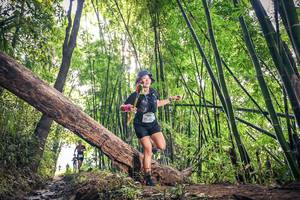 BIB: 1464
                            <button type="button" onclick="openModal(15934967)" class="btn btn-primary btn-sm float-right btn-popup" data-toggle="modal" data-target=".modal-high-quality">
                        <i class="fas fa-shopping-cart"></i> Add to Cart
                    </button>
                                            <button type="button" onclick="isThisMe(15934967, true)" class="btn btn-success btn-sm float-right btn-popup btn-isme hidden" data-toggle="tooltip" data-placement="bottom" title="นี่คือรูปของคุณใช่ไหม คลิกที่นี่เพื่อเอาเข้าอัลบั้ม">
                        <i class="fas fa-plus"></i> Add to album
                    </button>
                    <button type="button" onclick="isThisMe(15934967, false)" class="btn btn-warning btn-sm float-right btn-popup btn-isnotme hidden">
                        <i class="fas fa-ban"></i> Remove from album
                    </button>