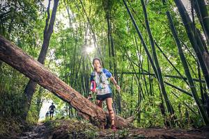 BIB: , 1159
                            <button type="button" onclick="openModal(15934777)" class="btn btn-primary btn-sm float-right btn-popup" data-toggle="modal" data-target=".modal-high-quality">
                        <i class="fas fa-shopping-cart"></i> Add to Cart
                    </button>
                                            <button type="button" onclick="isThisMe(15934777, true)" class="btn btn-success btn-sm float-right btn-popup btn-isme hidden" data-toggle="tooltip" data-placement="bottom" title="นี่คือรูปของคุณใช่ไหม คลิกที่นี่เพื่อเอาเข้าอัลบั้ม">
                        <i class="fas fa-plus"></i> Add to album
                    </button>
                    <button type="button" onclick="isThisMe(15934777, false)" class="btn btn-warning btn-sm float-right btn-popup btn-isnotme hidden">
                        <i class="fas fa-ban"></i> Remove from album
                    </button>