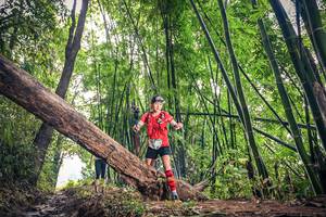 BIB: 1047
                            <button type="button" onclick="openModal(15933166)" class="btn btn-primary btn-sm float-right btn-popup" data-toggle="modal" data-target=".modal-high-quality">
                        <i class="fas fa-shopping-cart"></i> Add to Cart
                    </button>
                                            <button type="button" onclick="isThisMe(15933166, true)" class="btn btn-success btn-sm float-right btn-popup btn-isme hidden" data-toggle="tooltip" data-placement="bottom" title="นี่คือรูปของคุณใช่ไหม คลิกที่นี่เพื่อเอาเข้าอัลบั้ม">
                        <i class="fas fa-plus"></i> Add to album
                    </button>
                    <button type="button" onclick="isThisMe(15933166, false)" class="btn btn-warning btn-sm float-right btn-popup btn-isnotme hidden">
                        <i class="fas fa-ban"></i> Remove from album
                    </button>