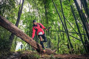 BIB: 1631
                            <button type="button" onclick="openModal(15933560)" class="btn btn-primary btn-sm float-right btn-popup" data-toggle="modal" data-target=".modal-high-quality">
                        <i class="fas fa-shopping-cart"></i> Add to Cart
                    </button>
                                            <button type="button" onclick="isThisMe(15933560, true)" class="btn btn-success btn-sm float-right btn-popup btn-isme hidden" data-toggle="tooltip" data-placement="bottom" title="นี่คือรูปของคุณใช่ไหม คลิกที่นี่เพื่อเอาเข้าอัลบั้ม">
                        <i class="fas fa-plus"></i> Add to album
                    </button>
                    <button type="button" onclick="isThisMe(15933560, false)" class="btn btn-warning btn-sm float-right btn-popup btn-isnotme hidden">
                        <i class="fas fa-ban"></i> Remove from album
                    </button>