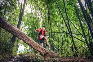 BIB: 1658
                            <button type="button" onclick="openModal(15934477)" class="btn btn-primary btn-sm float-right btn-popup" data-toggle="modal" data-target=".modal-high-quality">
                        <i class="fas fa-shopping-cart"></i> Add to Cart
                    </button>
                                            <button type="button" onclick="isThisMe(15934477, true)" class="btn btn-success btn-sm float-right btn-popup btn-isme hidden" data-toggle="tooltip" data-placement="bottom" title="นี่คือรูปของคุณใช่ไหม คลิกที่นี่เพื่อเอาเข้าอัลบั้ม">
                        <i class="fas fa-plus"></i> Add to album
                    </button>
                    <button type="button" onclick="isThisMe(15934477, false)" class="btn btn-warning btn-sm float-right btn-popup btn-isnotme hidden">
                        <i class="fas fa-ban"></i> Remove from album
                    </button>