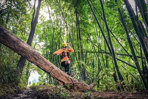 BIB: 
                            <button type="button" onclick="openModal(15934488)" class="btn btn-primary btn-sm float-right btn-popup" data-toggle="modal" data-target=".modal-high-quality">
                        <i class="fas fa-shopping-cart"></i> Add to Cart
                    </button>
                                            <button type="button" onclick="isThisMe(15934488, true)" class="btn btn-success btn-sm float-right btn-popup btn-isme hidden" data-toggle="tooltip" data-placement="bottom" title="นี่คือรูปของคุณใช่ไหม คลิกที่นี่เพื่อเอาเข้าอัลบั้ม">
                        <i class="fas fa-plus"></i> Add to album
                    </button>
                    <button type="button" onclick="isThisMe(15934488, false)" class="btn btn-warning btn-sm float-right btn-popup btn-isnotme hidden">
                        <i class="fas fa-ban"></i> Remove from album
                    </button>