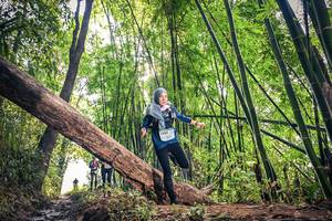 BIB: 1555, 1381
                            <button type="button" onclick="openModal(15934568)" class="btn btn-primary btn-sm float-right btn-popup" data-toggle="modal" data-target=".modal-high-quality">
                        <i class="fas fa-shopping-cart"></i> Add to Cart
                    </button>
                                            <button type="button" onclick="isThisMe(15934568, true)" class="btn btn-success btn-sm float-right btn-popup btn-isme hidden" data-toggle="tooltip" data-placement="bottom" title="นี่คือรูปของคุณใช่ไหม คลิกที่นี่เพื่อเอาเข้าอัลบั้ม">
                        <i class="fas fa-plus"></i> Add to album
                    </button>
                    <button type="button" onclick="isThisMe(15934568, false)" class="btn btn-warning btn-sm float-right btn-popup btn-isnotme hidden">
                        <i class="fas fa-ban"></i> Remove from album
                    </button>