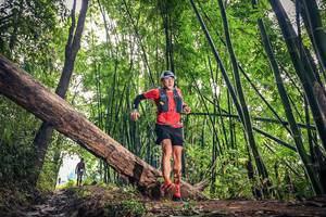 BIB: 
                            <button type="button" onclick="openModal(15933507)" class="btn btn-primary btn-sm float-right btn-popup" data-toggle="modal" data-target=".modal-high-quality">
                        <i class="fas fa-shopping-cart"></i> Add to Cart
                    </button>
                                            <button type="button" onclick="isThisMe(15933507, true)" class="btn btn-success btn-sm float-right btn-popup btn-isme hidden" data-toggle="tooltip" data-placement="bottom" title="นี่คือรูปของคุณใช่ไหม คลิกที่นี่เพื่อเอาเข้าอัลบั้ม">
                        <i class="fas fa-plus"></i> Add to album
                    </button>
                    <button type="button" onclick="isThisMe(15933507, false)" class="btn btn-warning btn-sm float-right btn-popup btn-isnotme hidden">
                        <i class="fas fa-ban"></i> Remove from album
                    </button>