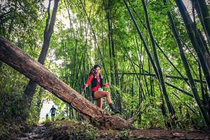 BIB: 343
                            <button type="button" onclick="openModal(15934374)" class="btn btn-primary btn-sm float-right btn-popup" data-toggle="modal" data-target=".modal-high-quality">
                        <i class="fas fa-shopping-cart"></i> Add to Cart
                    </button>
                                            <button type="button" onclick="isThisMe(15934374, true)" class="btn btn-success btn-sm float-right btn-popup btn-isme hidden" data-toggle="tooltip" data-placement="bottom" title="นี่คือรูปของคุณใช่ไหม คลิกที่นี่เพื่อเอาเข้าอัลบั้ม">
                        <i class="fas fa-plus"></i> Add to album
                    </button>
                    <button type="button" onclick="isThisMe(15934374, false)" class="btn btn-warning btn-sm float-right btn-popup btn-isnotme hidden">
                        <i class="fas fa-ban"></i> Remove from album
                    </button>